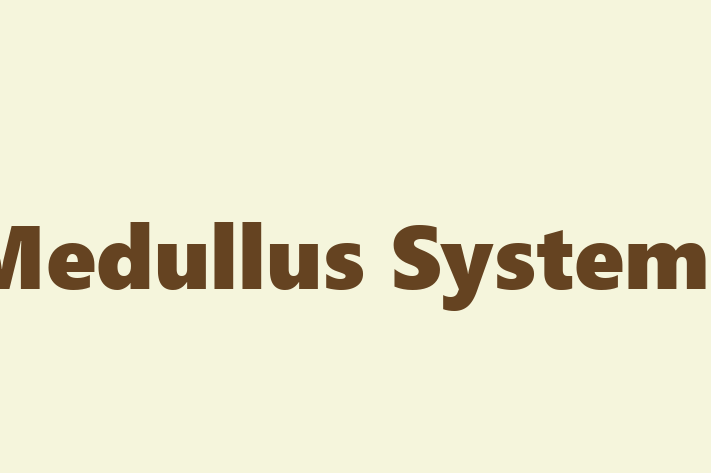 Technology Company Medullus Systems