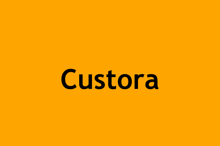 Software Engineering Company Custora