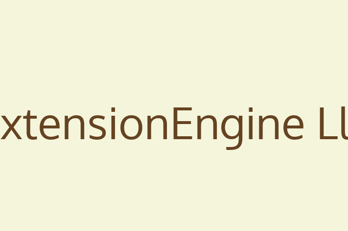 Software Services Company extensionEngine Llc