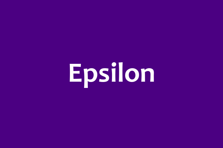 IT Company Epsilon