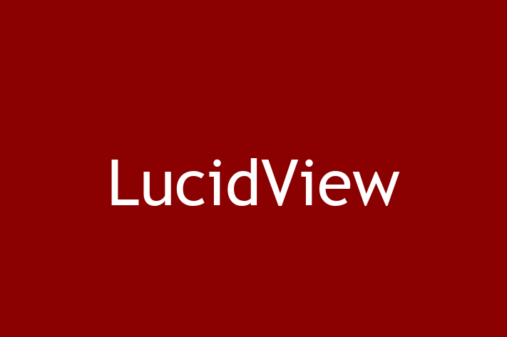 IT Company LucidView