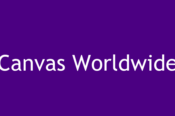 Software Consultancy Canvas Worldwide