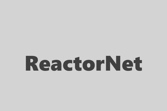 Software Firm ReactorNet