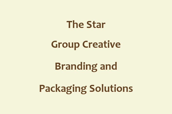 Software Firm The Star Group  Creative Branding and Packaging Solutions