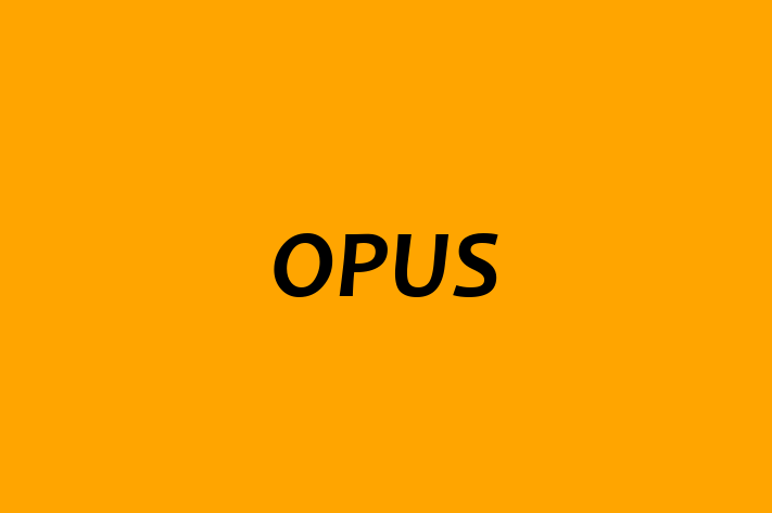 Digital Solutions Provider OPUS