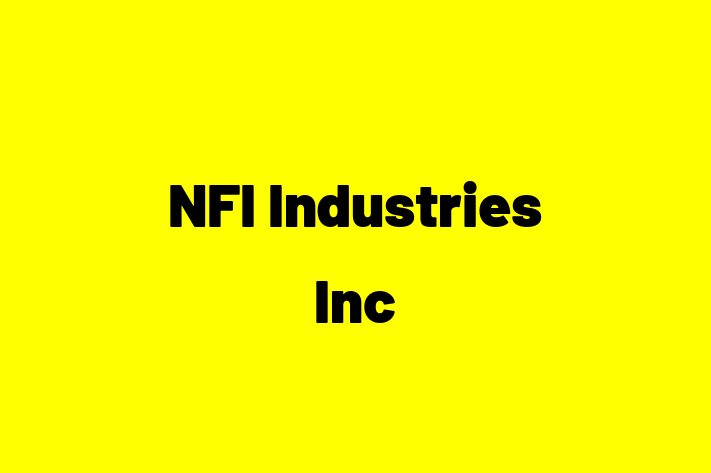 Software Development Company NFI Industries Inc