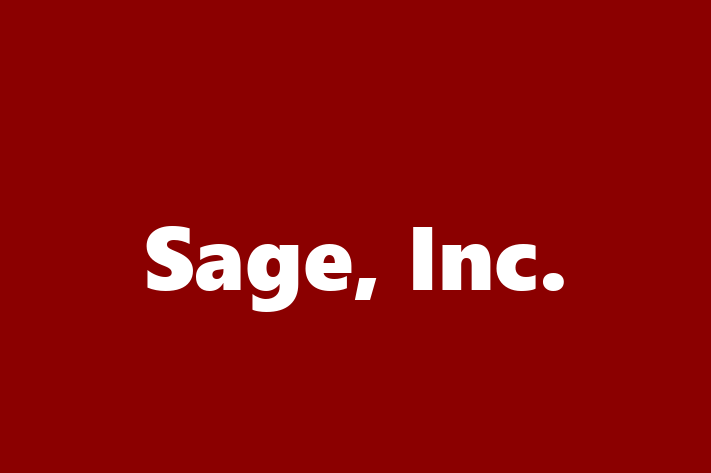 Technology Solutions Firm Sage Inc.