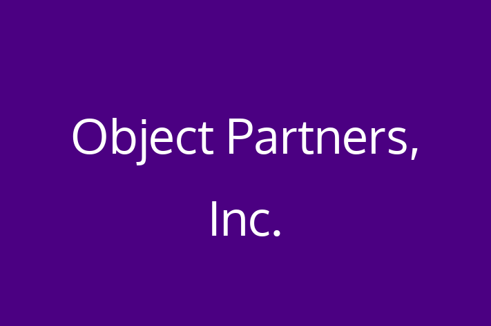 Software Solutions Provider Object Partners Inc.