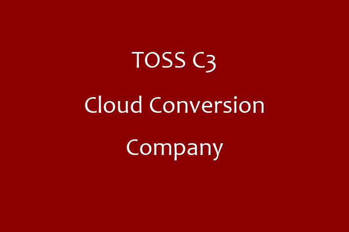 Technology Solutions Firm TOSS C3   Cloud Conversion Company