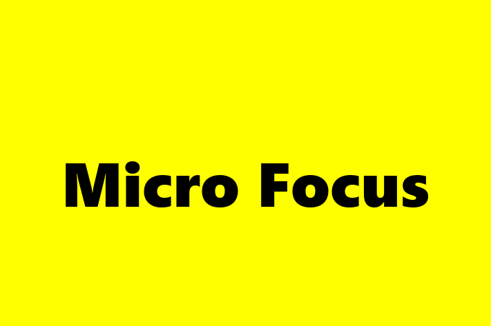 Software Development Firm Micro Focus