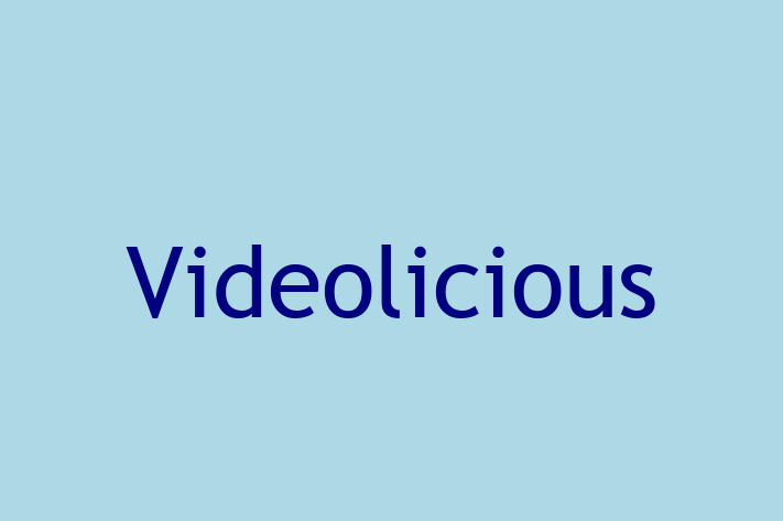 Software Development Firm Videolicious