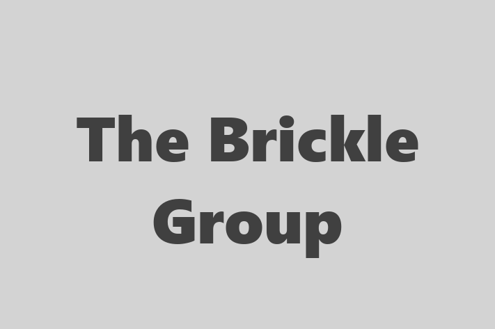 HR Administration The Brickle Group