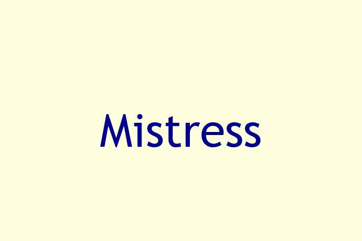 Digital Solutions Provider Mistress