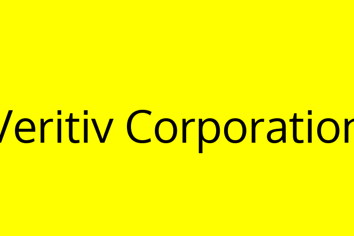 Software Consultancy Veritiv Corporation