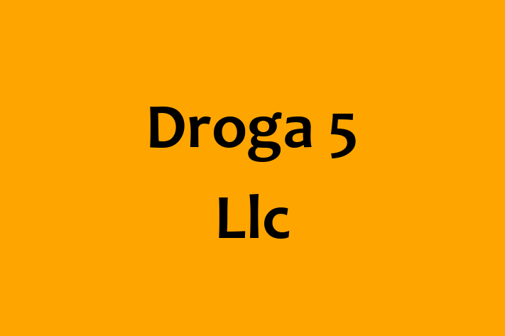 Digital Solutions Provider Droga 5 Llc