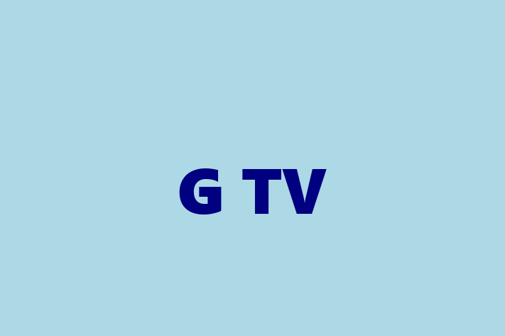 Tech Solutions Company G TV