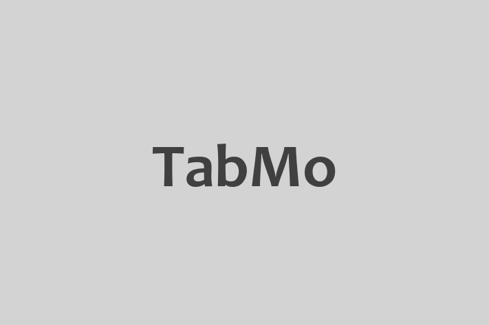 Software Engineering Company TabMo