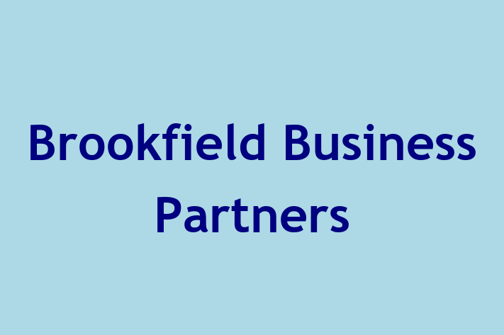 Software Consultancy Brookfield Business Partners