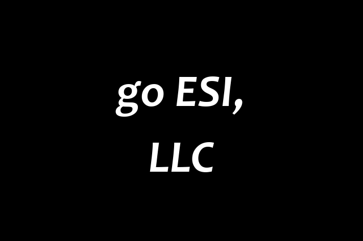 Tech Solutions Company go ESI LLC