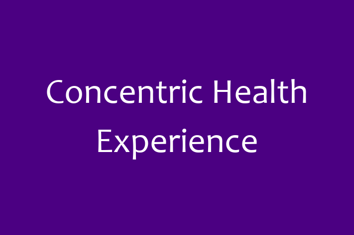 Software Engineering Company Concentric Health Experience