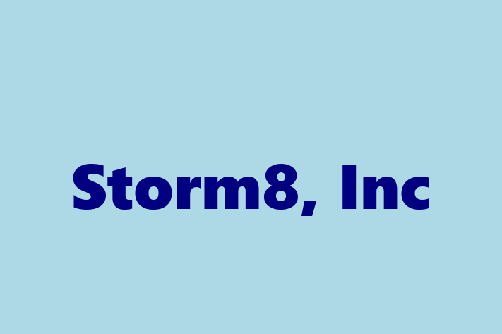 Software Services Company Storm8 Inc