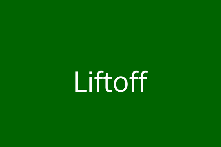 Digital Solutions Provider Liftoff