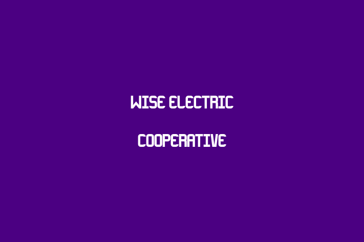 Labor Relations Wise Electric Cooperative