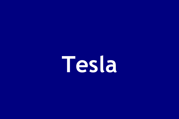 People Management Tesla