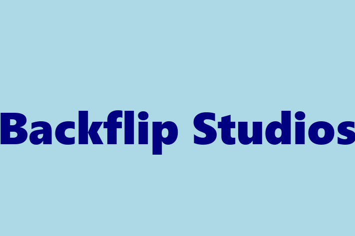 Software Engineering Company Backflip Studios