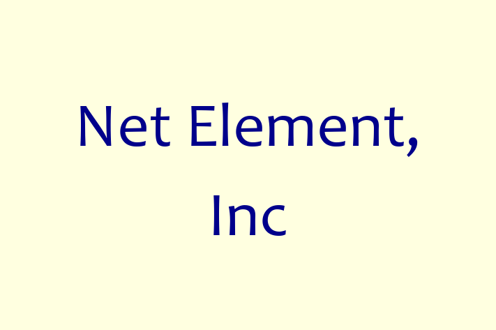 Software Solutions Provider Net Element Inc