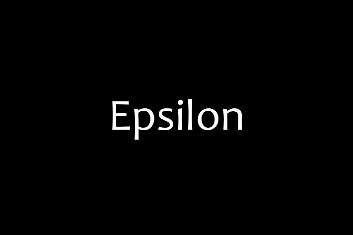 Tech Firm Epsilon