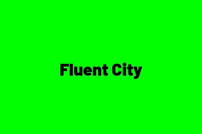 IT Company Fluent City