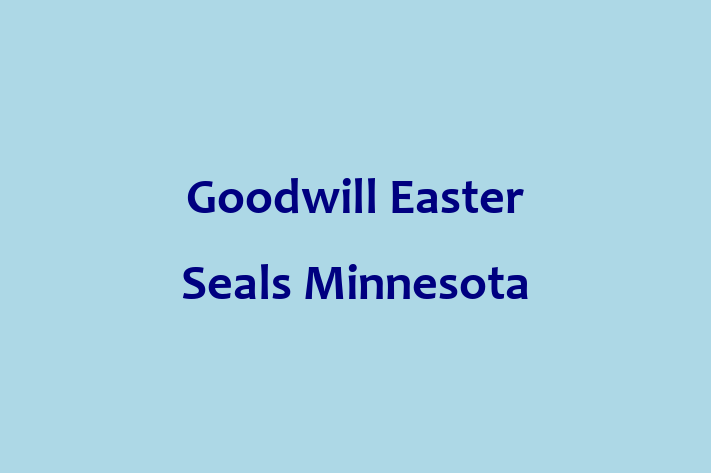 Employee Relations Goodwill Easter Seals Minnesota