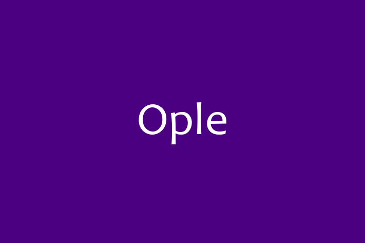 Software Consultancy Ople