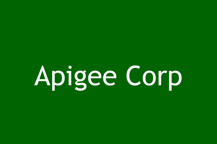 Application Development Company Apigee Corp