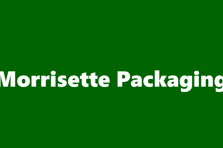 Talent Management Morrisette Packaging