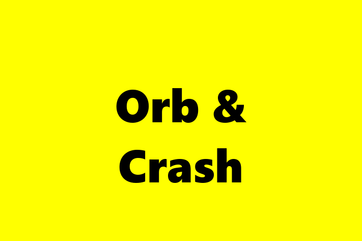 Software Development Company Orb Crash