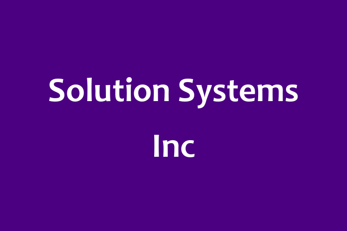 Digital Solutions Provider Solution Systems Inc