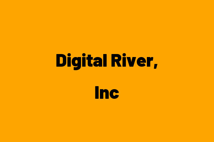 IT Company Digital River Inc