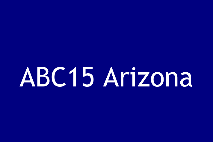 Application Development Company ABC15 Arizona