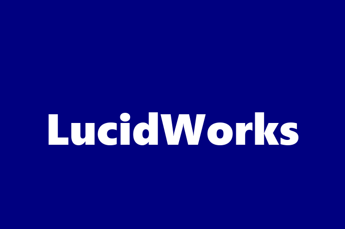 Software Consultancy LucidWorks