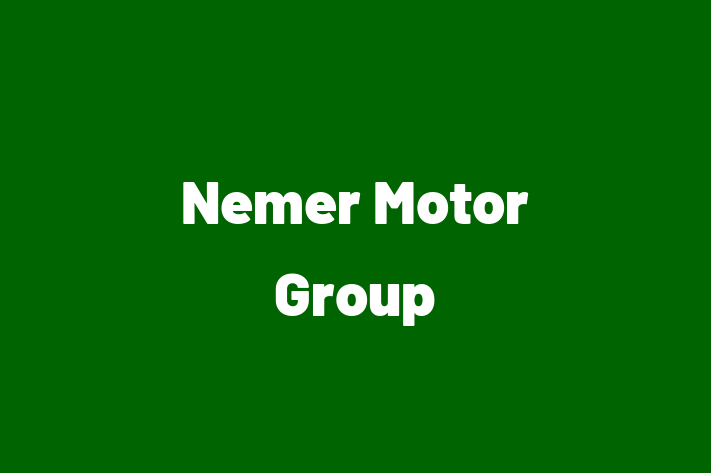 Talent Management Nemer Motor Group