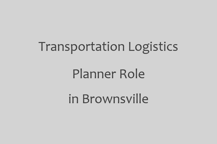 Transportation Logistics Planner Role in Brownsville