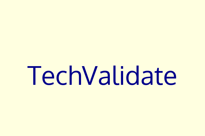 Technology Solutions Firm TechValidate