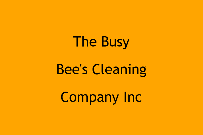 Maid Service The Busy Bees Cleaning Company Inc