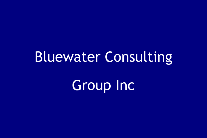 Software Development Firm Bluewater Consulting Group Inc