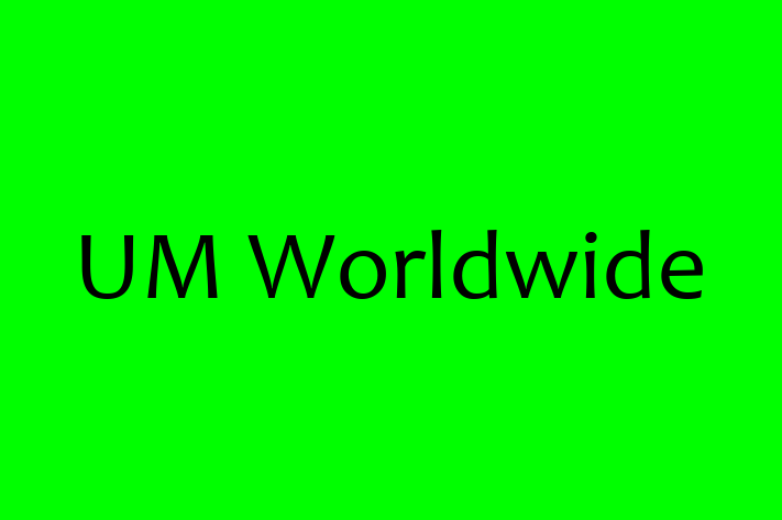 Software Services Company UM Worldwide