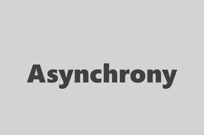 Software Consultancy Asynchrony