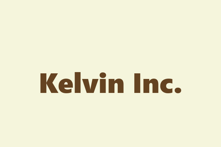 Digital Solutions Provider Kelvin Inc.