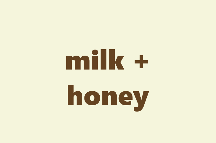 Labor Relations milk + honey